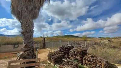 Rustic house in Alciri photo 14