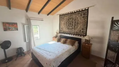 Rustic house in Aspe photo 32