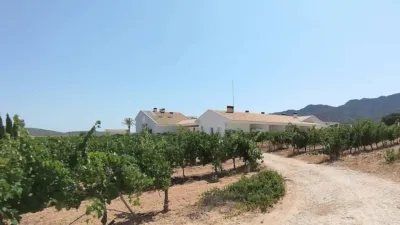 Rustic property in Yecla photo 122