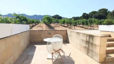 Rustic property in Yecla photo 76