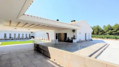 Rustic property in Yecla photo 59