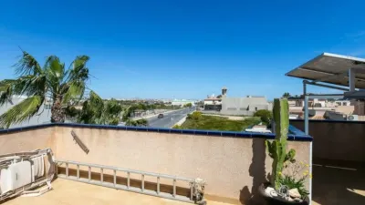 Chalet in Cabo Roig-La Zenia-La Regia photo 43