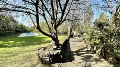 Chalet on Calle El Bebedero-Pinolere-Aguamansa S-N photo 47