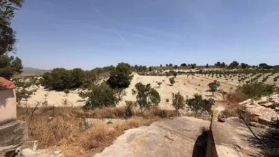 Rustic house in Jumilla photo 11