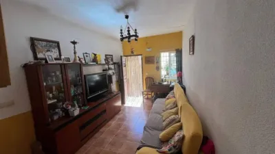 Apartment in Elche de La Sierra photo 4