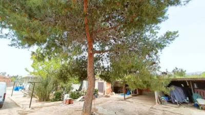 Chalet in Hondón de los Frailes photo 36