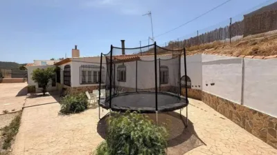 Rustic house in Jumilla photo 5