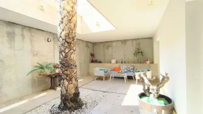 Rustic property in Yecla photo 88