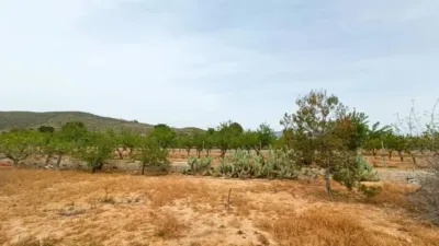Chalet in Hondón de los Frailes photo 33