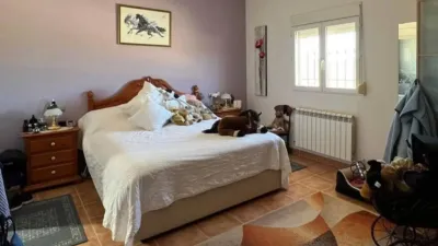 Chalet in Jumilla photo 10