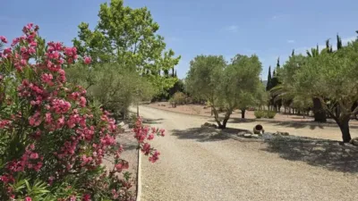 Chalet in Salinas photo 19