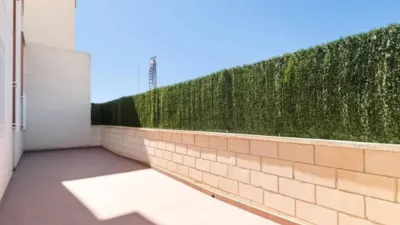 Apartment in Los Dolses-Montezenia-Lomas de Cabo photo 27