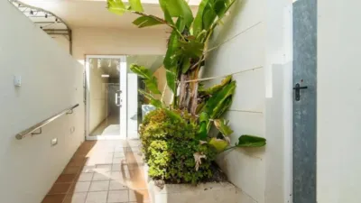 Apartment on Calle Medico Basilio Parede photo 40