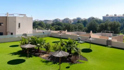Apartment in Cabo Roig-La Zenia-La Regia photo 32