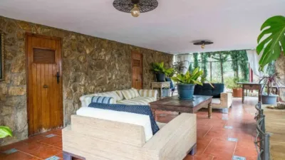 Chalet in Petrer photo 3
