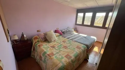 Apartment in Elche de La Sierra photo 31