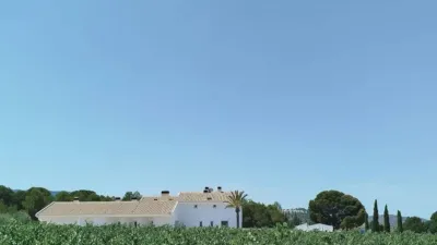 Rustic property in Yecla photo 6