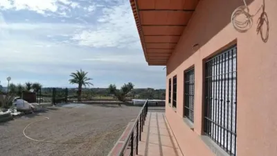 Chalet in Abanilla photo 20