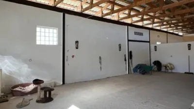 Chalet in Jumilla photo 31