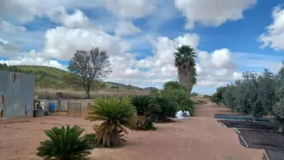 Rustic house in Alciri photo 7
