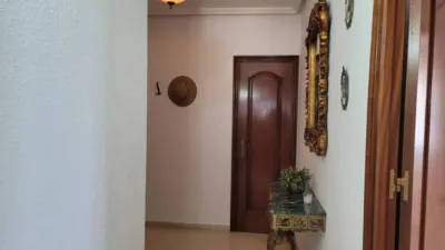 Apartment in Cabo Roig-La Zenia-La Regia photo 11