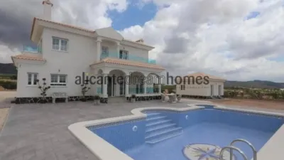 Chalet in Jumilla photo 42