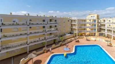 Pis – Orihuela - Vista 2