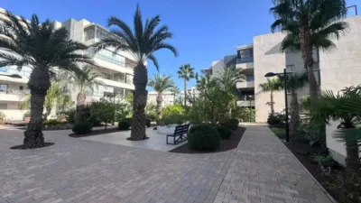 Apartment on Calle Vanilla photo 37