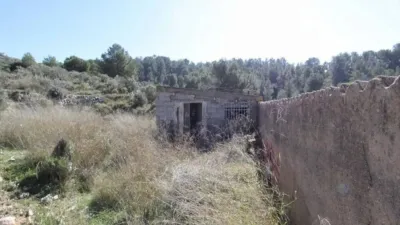 Chalet in Petrer photo 26