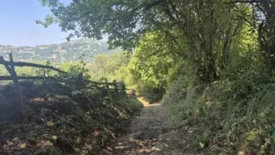 Rustic property in Los Barredos (Laviana) photo 16