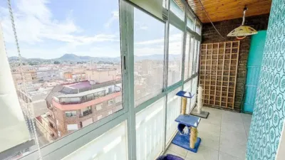 Apartment in Elda photo 7