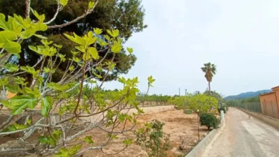 Chalet in Hondón de los Frailes photo 7