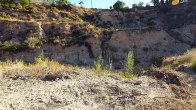 Rustic house in Abanilla photo 20