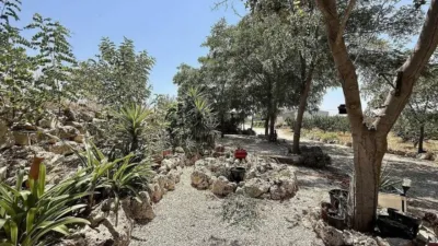 Rustic House in Villena photo 7