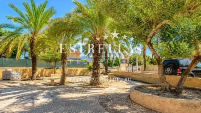 Apartment in L'Alfàs del Pi photo 4