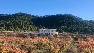 Chalet in El Pinós - Pinoso photo 3