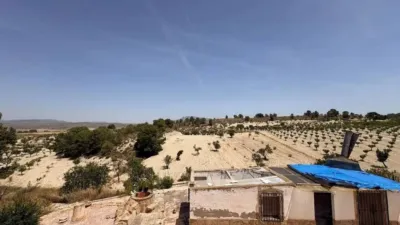 Rustic house in Jumilla photo 9