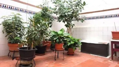 Apartment in Altozano photo 5