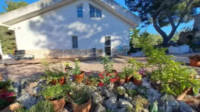 Rustic house in Sax photo 2