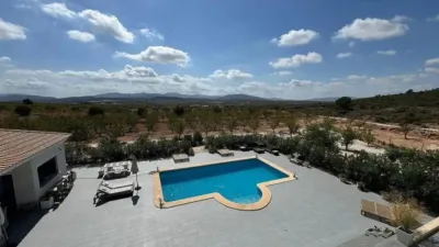 Chalet in El Pinós - Pinoso photo 46