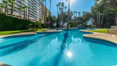 Piso – Orihuela - Vista 3