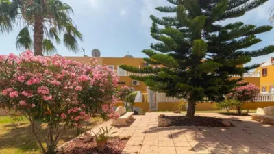 Chalet in Cabo Roig-La Zenia-La Regia photo 41
