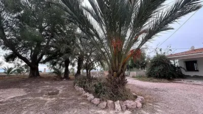 Rustic house in Novelda photo 28
