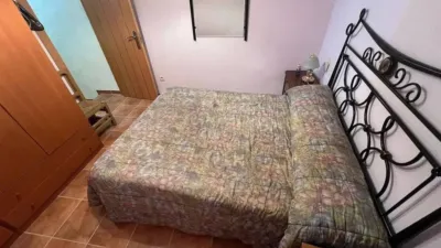 Apartment in Elche de La Sierra photo 13
