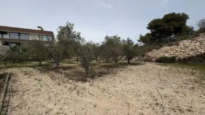 Rustic house in Petrer photo 15