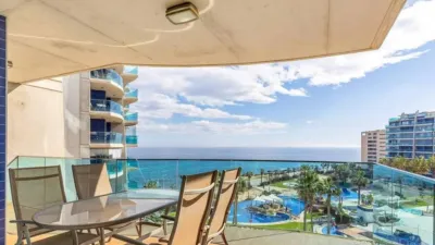 Pis – Torrevieja - Vista 4