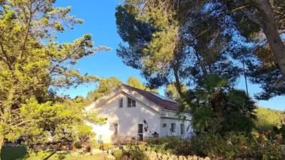 Rustic house in Sax photo 43