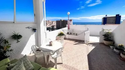 Pis – Torrevieja - Més