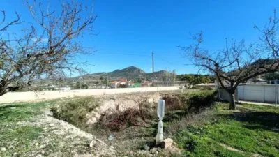 Chalet in Hondón de los Frailes photo 30