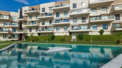 Apartment in Cabo Roig-La Zenia-La Regia photo 34